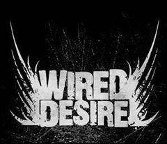 logo Wired Desire